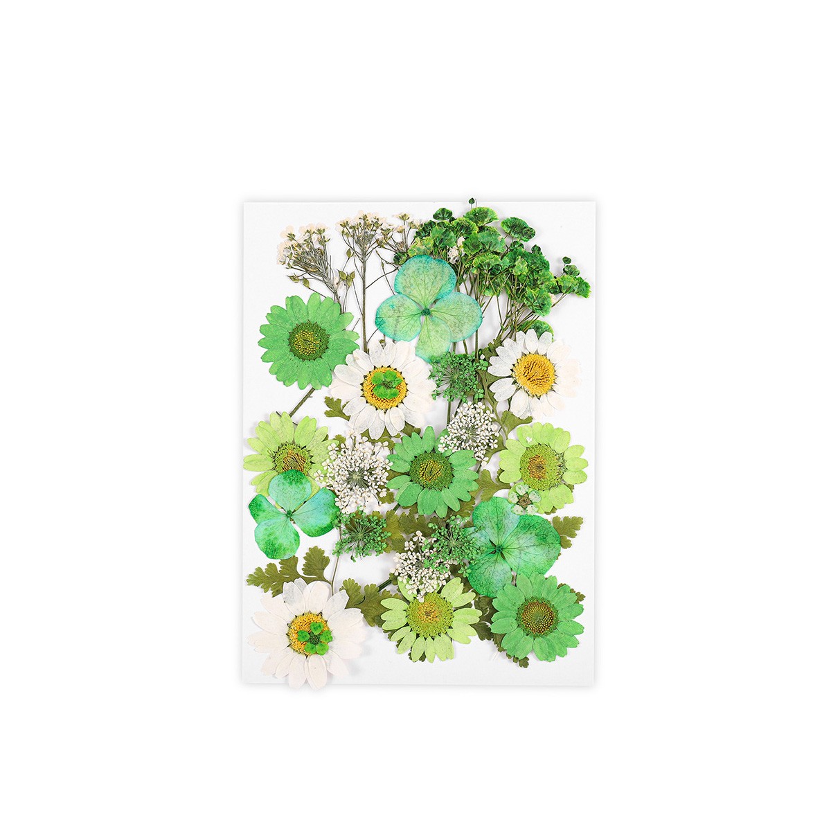 Green Wildflowers Kollektion