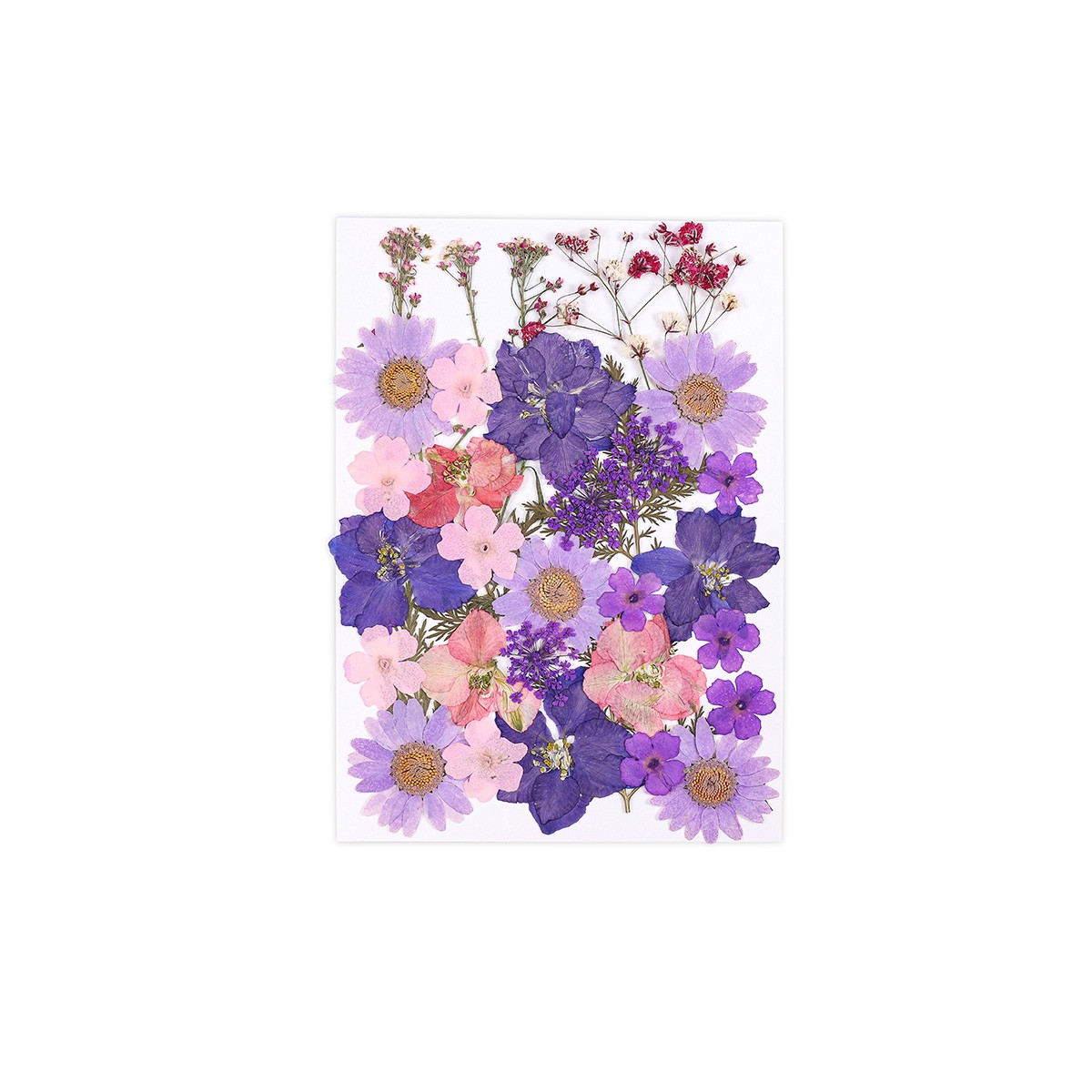 Colección Purple Wildflowers