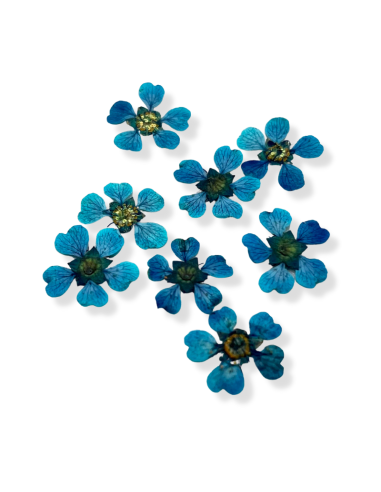Cherry Plum Turquoise Bach flowers